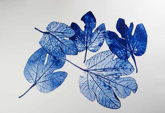 Alfred Ullrich, Feigenblätter Variation  IV, 2015