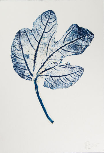 Alfred Ullrich, Feigenblatt IV, 2015