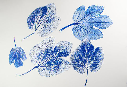 Alfred Ullrich, Feigenblätter Variation I, 2015