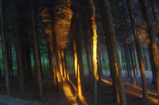 David Weiss, o.T., 2014