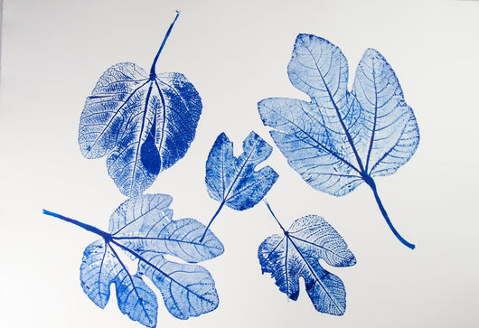 Alfred Ullrich, Feigenblätter Variation  II, 2015