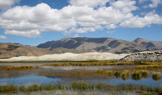 David Weiss, o.T., 2014